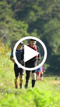 BIB:  <button type="button" onclick="openModal(26576188)" class="btn btn-primary btn-sm float-right" data-toggle="modal" data-target=".modal-high-quality">
                <i class="fa fa-download"></i> Download
                </button>